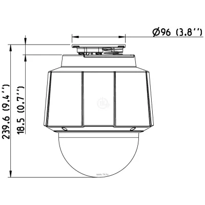 Axis Q6042